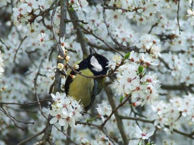 Прикрепленное изображение: Ss1.jpg